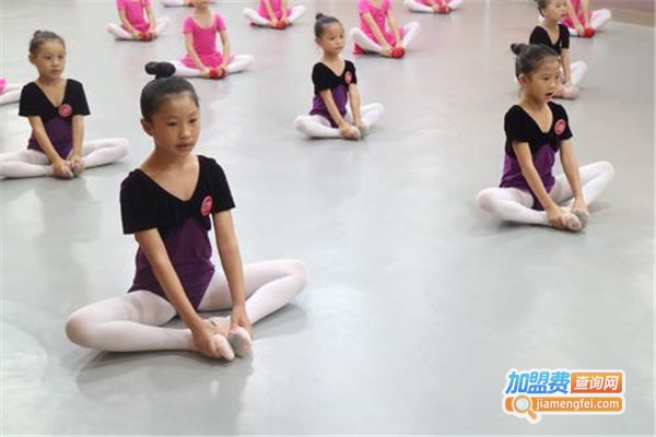 小太阳艺术中心加盟费