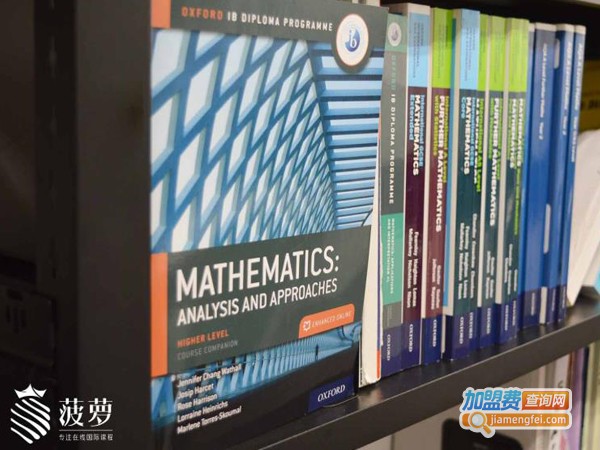 菠萝在线加盟费