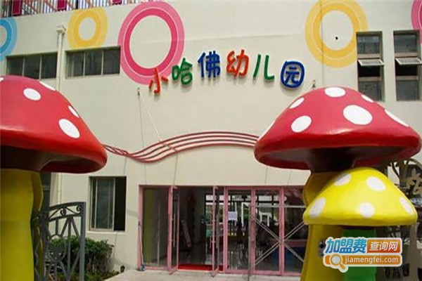 小哈佛教育加盟费