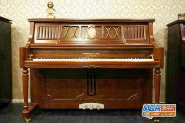 斯坦伯格钢琴加盟门店