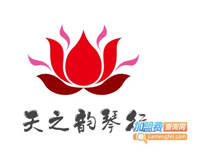 天之韵琴行加盟费