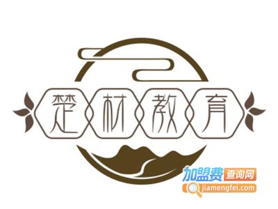 楚材教育加盟费