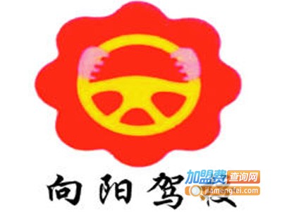 向阳驾校加盟费