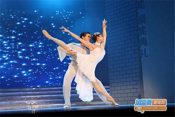 罗逸雅芭蕾舞爵士舞学校加盟费