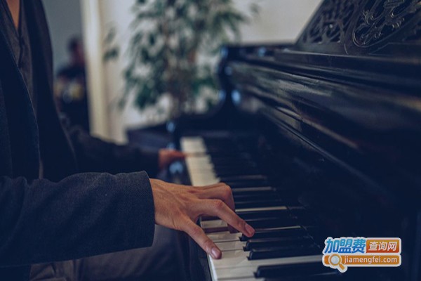 海豚湾琴行加盟费