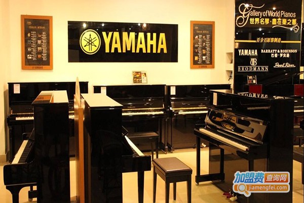 爱音琴行加盟费