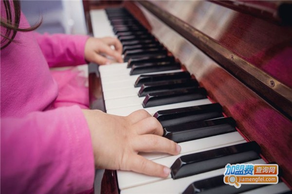 长鸣琴行加盟费