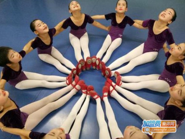 飞扬艺术培训中心加盟费