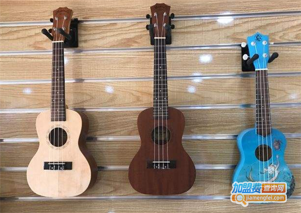 海歌琴行加盟费