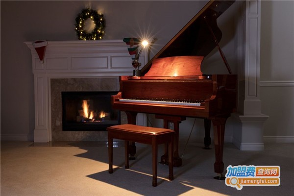 柏韵琴行加盟费