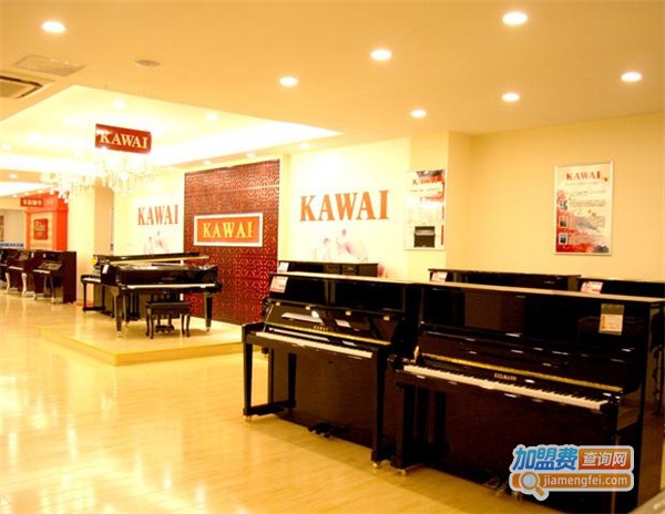 声海琴行加盟费