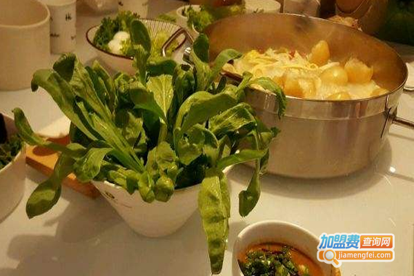 陌生人火锅加盟费