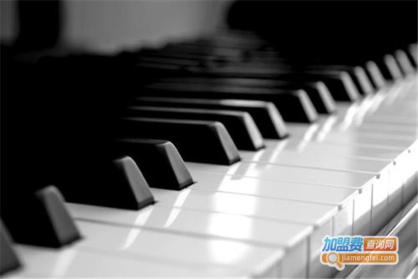 圣音琴行加盟费