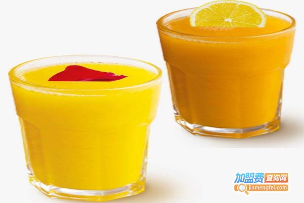 通鲜果饮加盟费