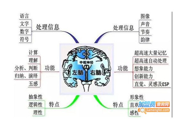 明镜右脑教育