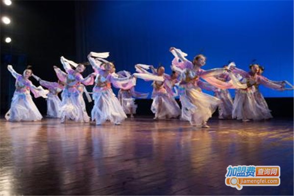 红菱舞蹈加盟费