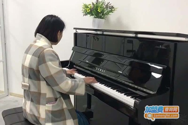 海之韵琴行加盟费