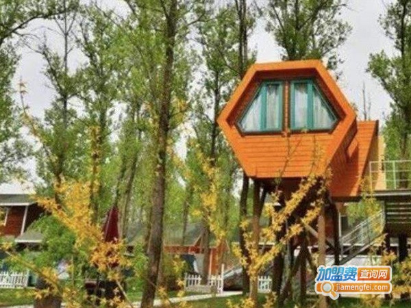 森林儿童乐园加盟费