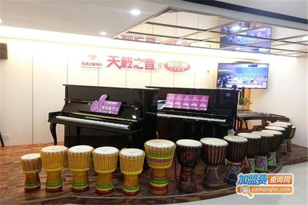 天籁之音琴行加盟费