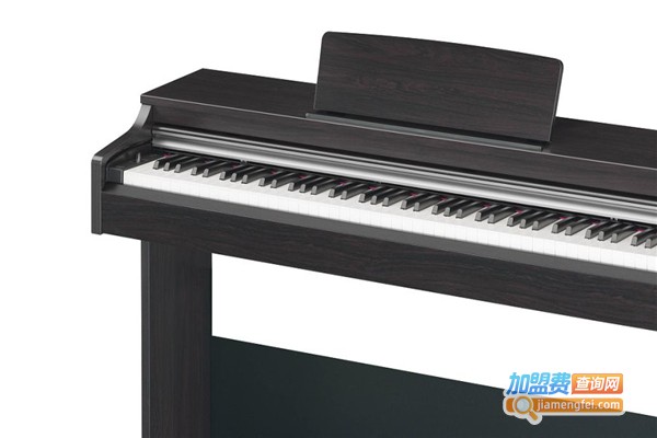 绿叶琴行加盟费