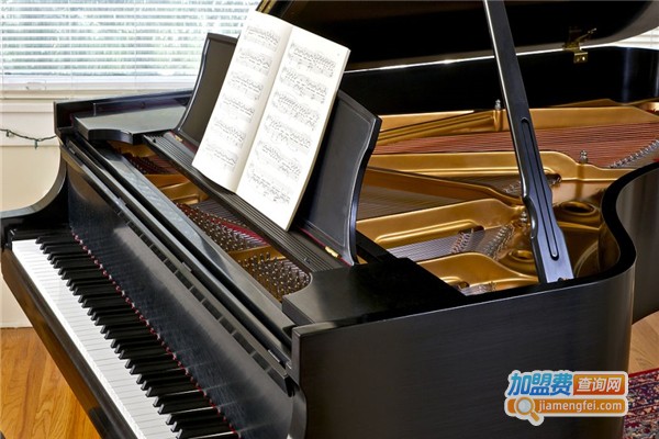 妙音琴行加盟费