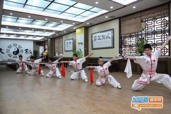 华奥武术