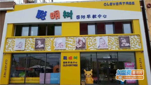 聪明树国际早教加盟费