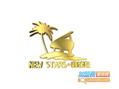 七星音乐岛艺术培训中心加盟费