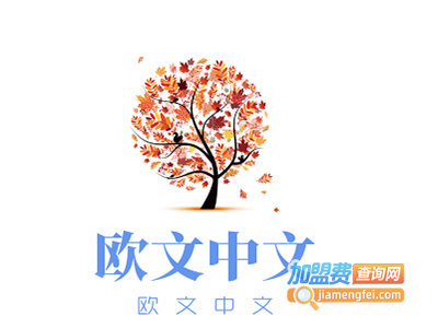 欧文中文加盟