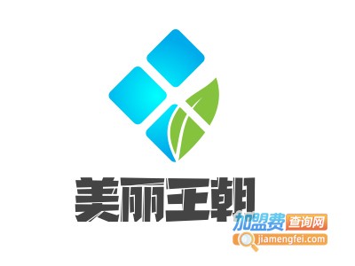 美丽王朝智能皮肤管理加盟费