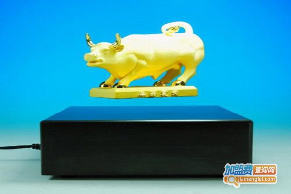 磁悬浮工艺品加盟门店