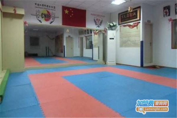 炫风跆拳道加盟费