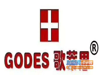 godes歌蒂思美容养生会所加盟费