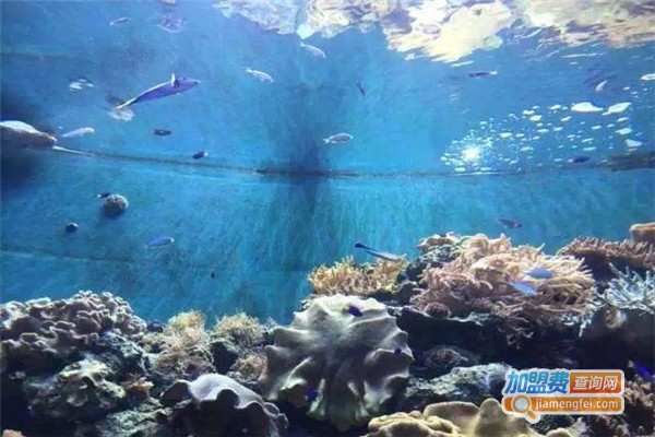 海洋教育加盟费