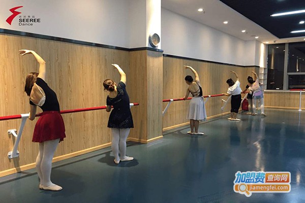 思润艺术培训加盟