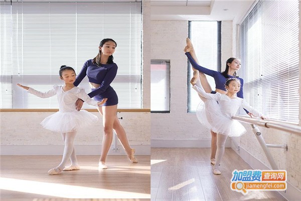 天才智星加盟费