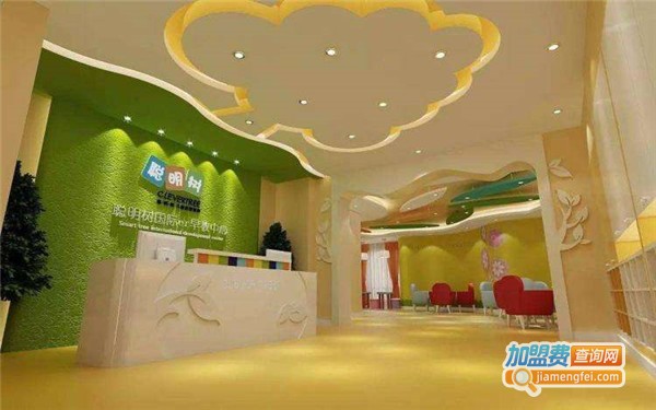 聪明树国际早教加盟费