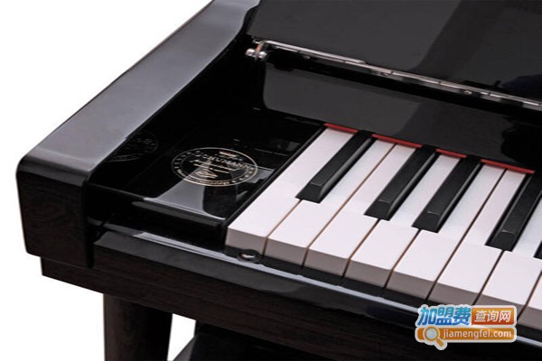 舒曼钢琴加盟费