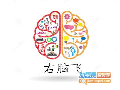 右脑飞加盟费