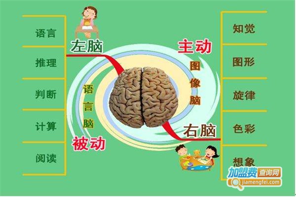 右脑识字加盟费