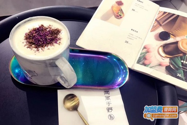 闻茶与野加盟费