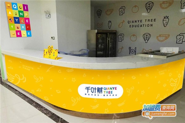 千叶树教育加盟费