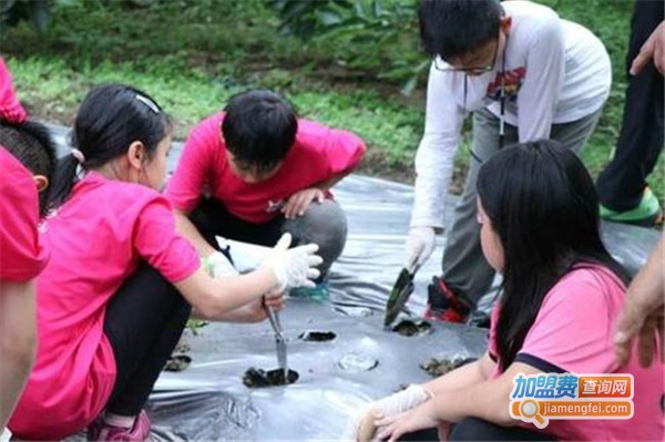 童军教育加盟费