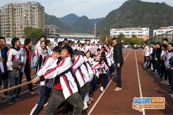 琴海艺术教育加盟费