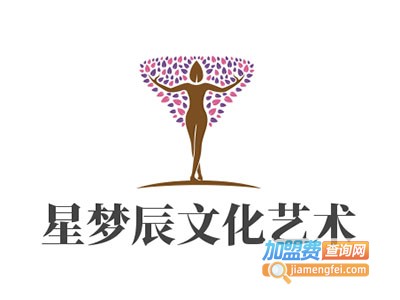 星梦辰文化艺术加盟费