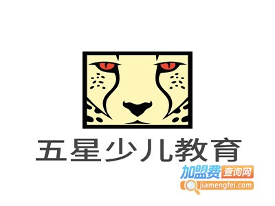 五星少儿教育加盟费