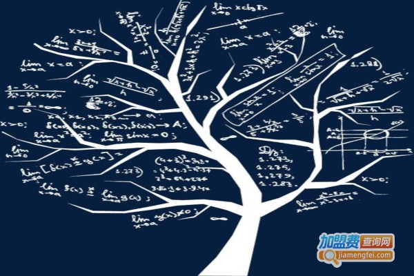 唐吉逻辑数学加盟费