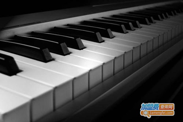 舒曼钢琴加盟费