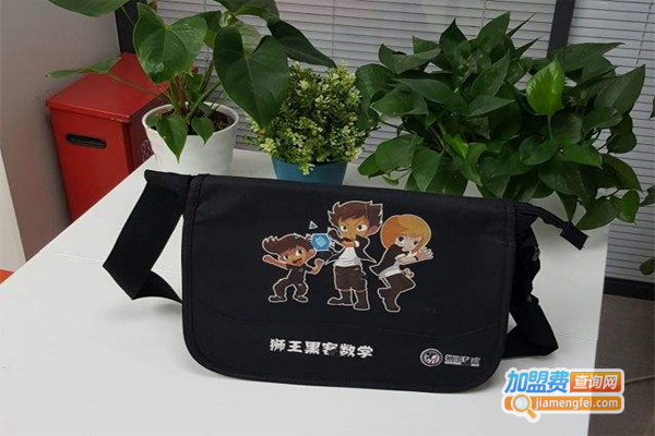 狮王黑客数学加盟费