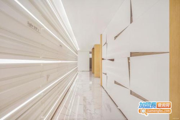 美丽王朝智能皮肤管理加盟费